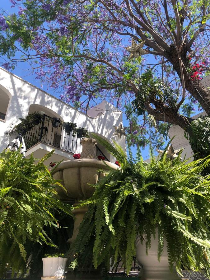 Casa Lani Luxury B&B San Miguel de Allende Ngoại thất bức ảnh