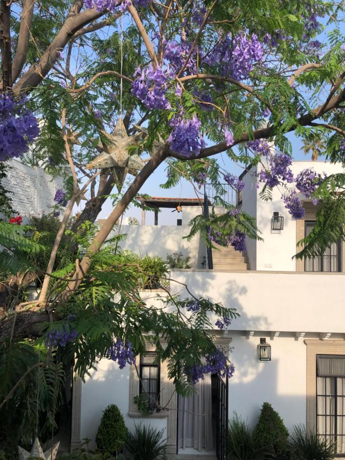 Casa Lani Luxury B&B San Miguel de Allende Ngoại thất bức ảnh