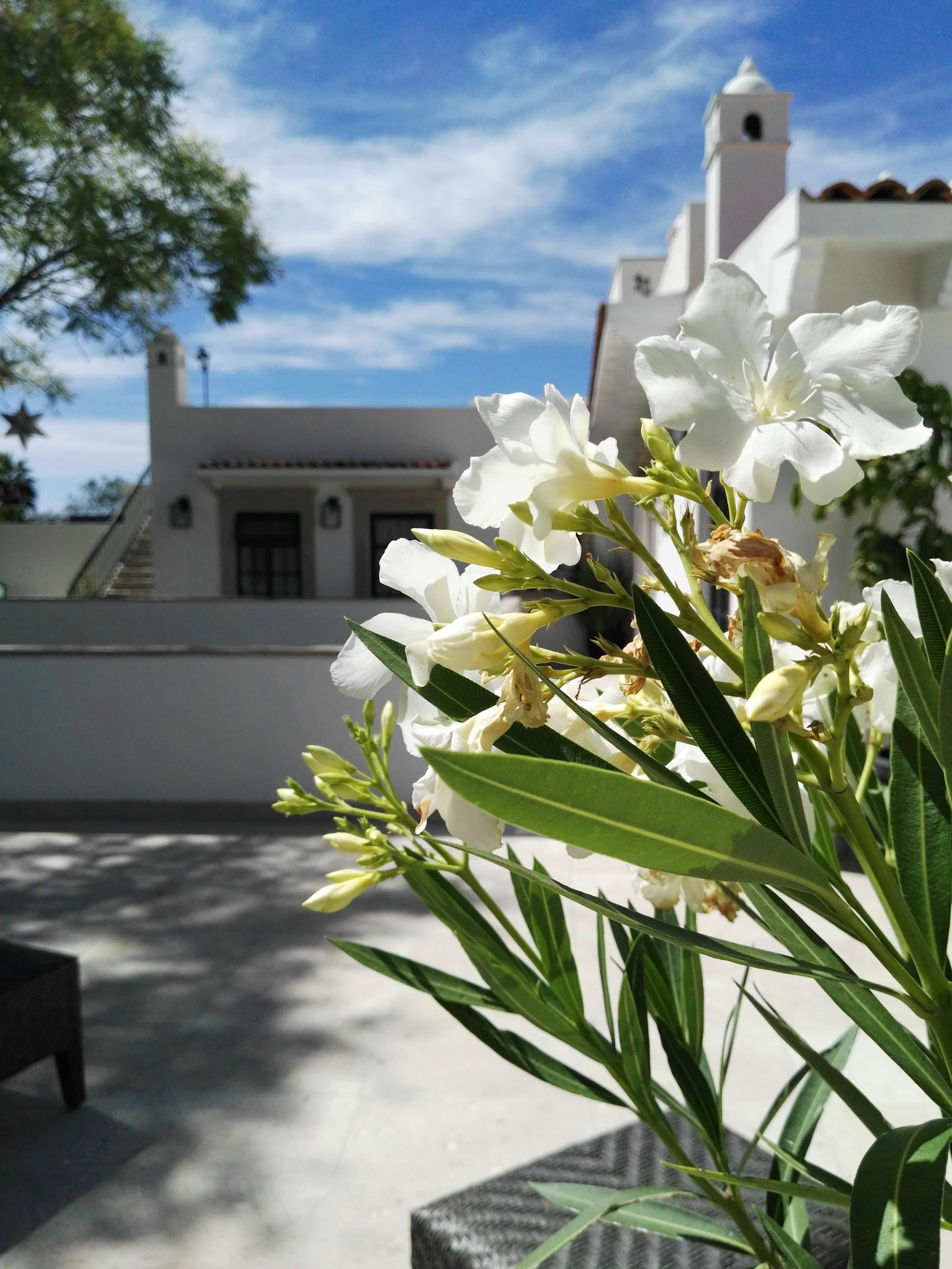 Casa Lani Luxury B&B San Miguel de Allende Ngoại thất bức ảnh