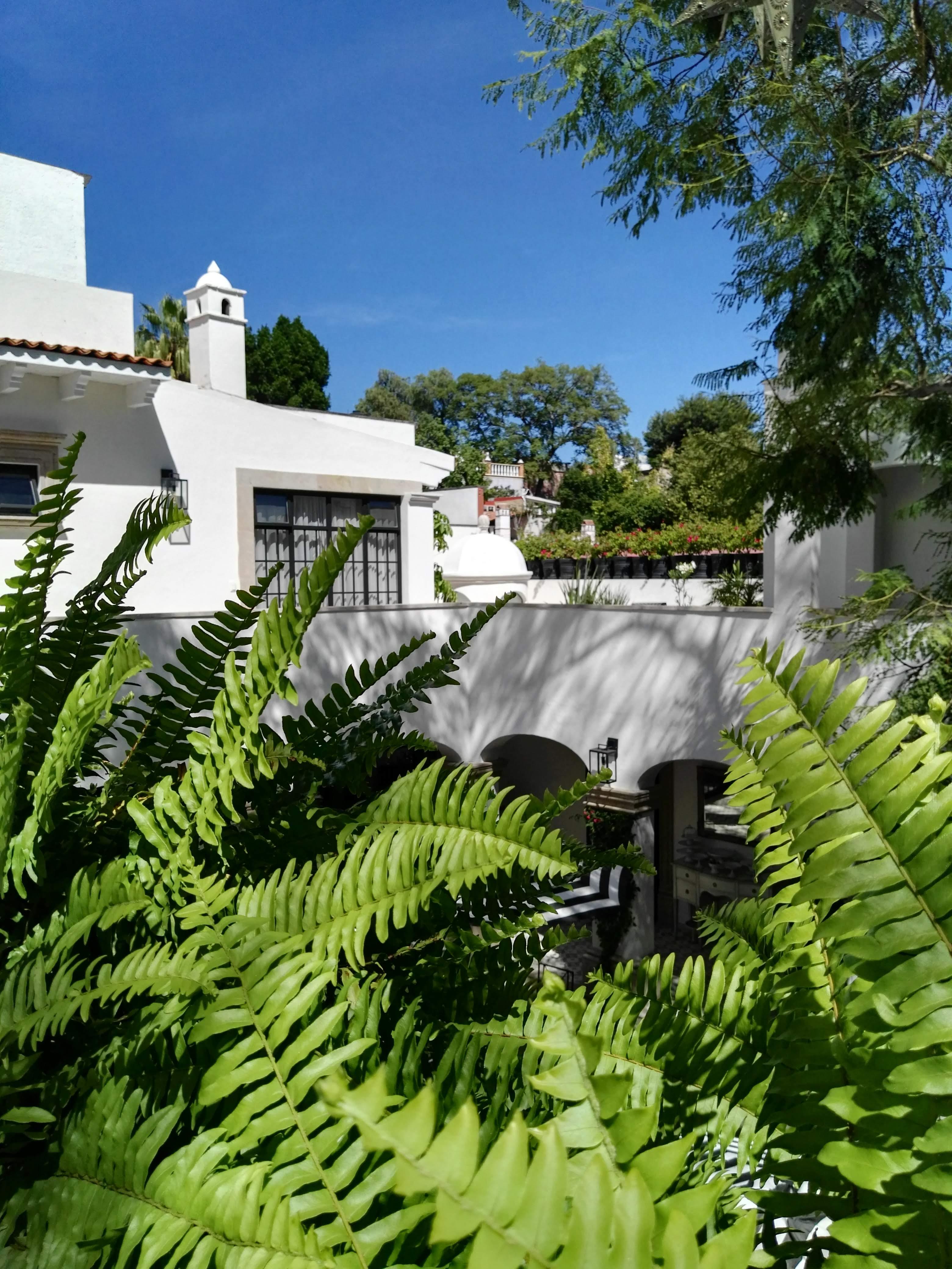 Casa Lani Luxury B&B San Miguel de Allende Ngoại thất bức ảnh
